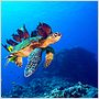 OceanWorld 3D