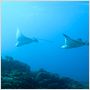 OceanWorld 3D