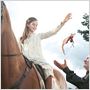 War Horse (Caballo de batalla)