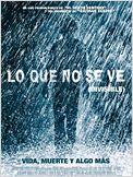 Lo que no se ve