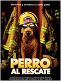 Perro al rescate