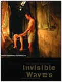 Invisible Waves