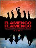 Flamenco, Flamenco