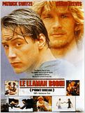 Le llaman Bodhi