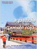 Agua tibia bajo un puente rojo