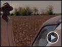 Honeydripper Tráiler