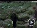 Una amistad inolvidable Tráiler (2) 