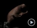 Luna caliente Clip (2)