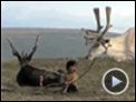 La terra habitada Tráiler