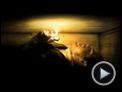 Buried (Enterrado) Tráiler