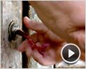 El Cuerno de la Abundancia Clip