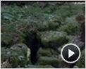 Una amistad inolvidable Tráiler (2)