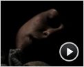 Luna caliente Clip (2)