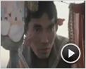 Tulpan Tráiler