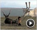La terra habitada Tráiler