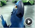 Rio Tráiler