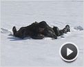 Silencio en la nieve Clip (3)