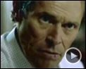 Foto : Luciérnagas en el jardín Tráiler