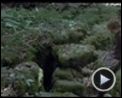 Foto : Una amistad inolvidable Tráiler (2) 