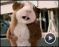 Foto : G-Force: licencia para espiar Tráiler (2)