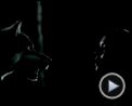 Foto : Crónicas vampíricas - season 3 Tráiler (4)