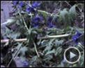 Foto : La terra habitada Teaser (2)