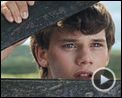 Foto : War Horse (Caballo de batalla) Tráiler (2)