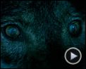 Foto : Luna, el misterio de Calenda Tráiler (2)