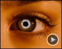 Foto : The Host (La huésped) Tráiler