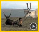 Foto : La terra habitada Tráiler