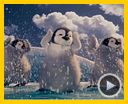 Foto : Happy Feet 2 (3D) Tráiler