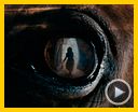 Foto : War Horse (Caballo de batalla) Tráiler