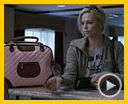 Foto : Young Adult Tráiler