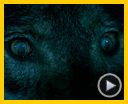Foto : Luna, el misterio de Calenda Tráiler (2)