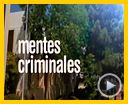 Foto : Mentes criminales Teaser