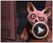 Kung Fu Panda Tráiler