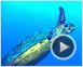 OceanWorld 3D Tráiler