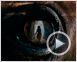 War Horse (Caballo de batalla) Tráiler