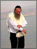 Assi Dayan Assi Dayan
