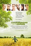 Foto: Luciérnagas en el jardín