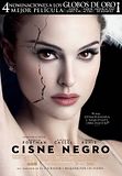 Foto: Cisne negro