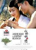 Foto: Amor bajo el espino blanco