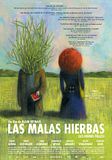 Foto: Las malas hierbas
