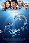 Foto: La gran aventura de Winter el delfín