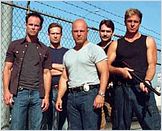 The Shield