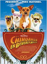 Un chihuahua en Beverly Hills