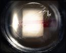 Teaser+oficial+de+%27Super+8%27%2c+lo+nuevo+de+J.J.+Abrams
