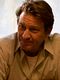 Brett Cullen