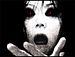 La maldición 2 (The Grudge 2)