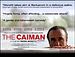 Il Caimano